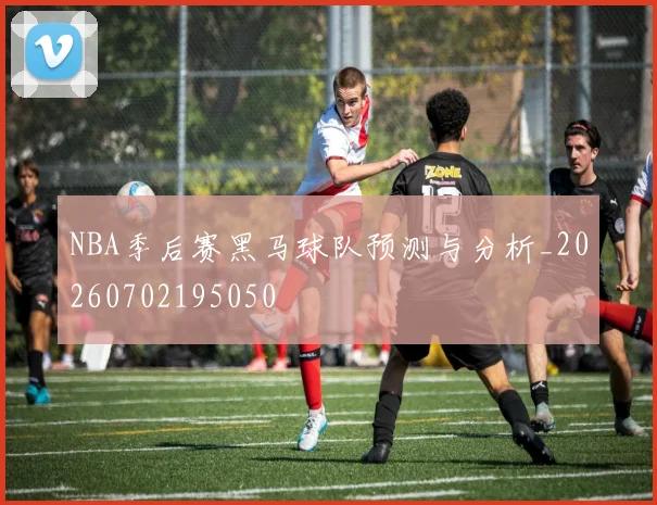 NBA季后赛黑马球队预测与分析_20260702195050
