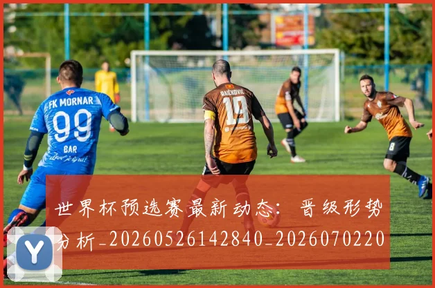 世界杯预选赛最新动态：晋级形势分析_20260526142840_20260702200901_20260715192858