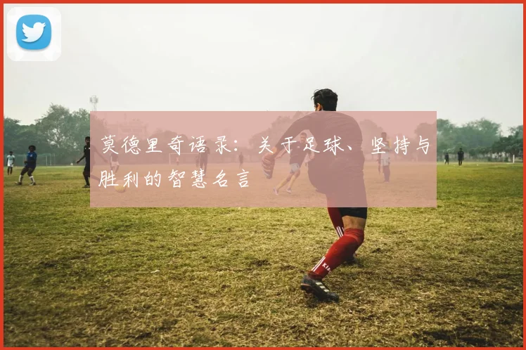 莫德里奇语录：关于足球、坚持与胜利的智慧名言